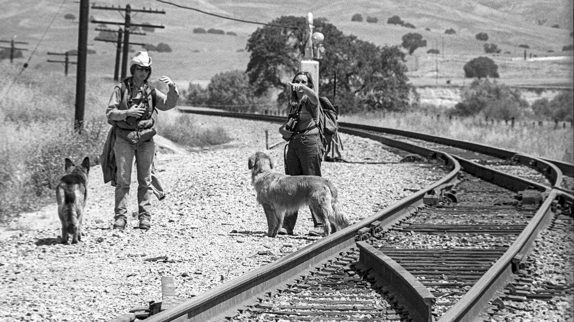 Two members of a group called Woof Inc. Wilderness Finders look for a scent or a clue with their dogs May 22, 1980, in San Miguel area where two girls are missing. Teresa Lynn “Terry” Flores, 5, and Martha Jo Ann “Marty” Mezo, 4, disappeared shortly after 11 a.m. on May 17, 1980. The double murder is still unsolved.
