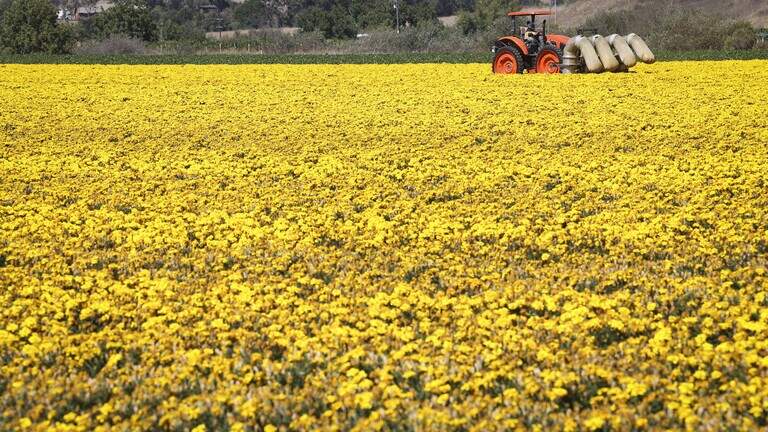 Heat wave hits SLO County; child molester sentenced. Today’s top stories