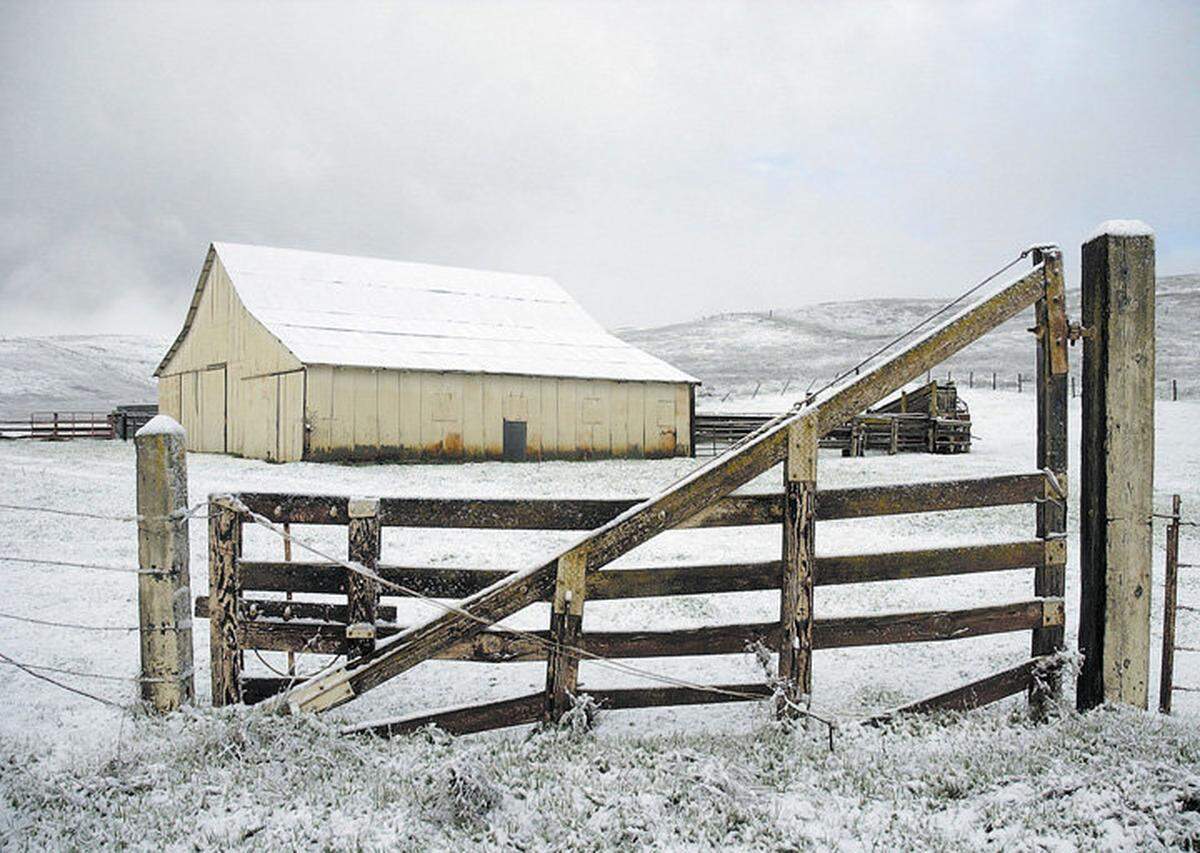 March 12, 2006: A wintry scene along Highway 41 just south of Shandon.