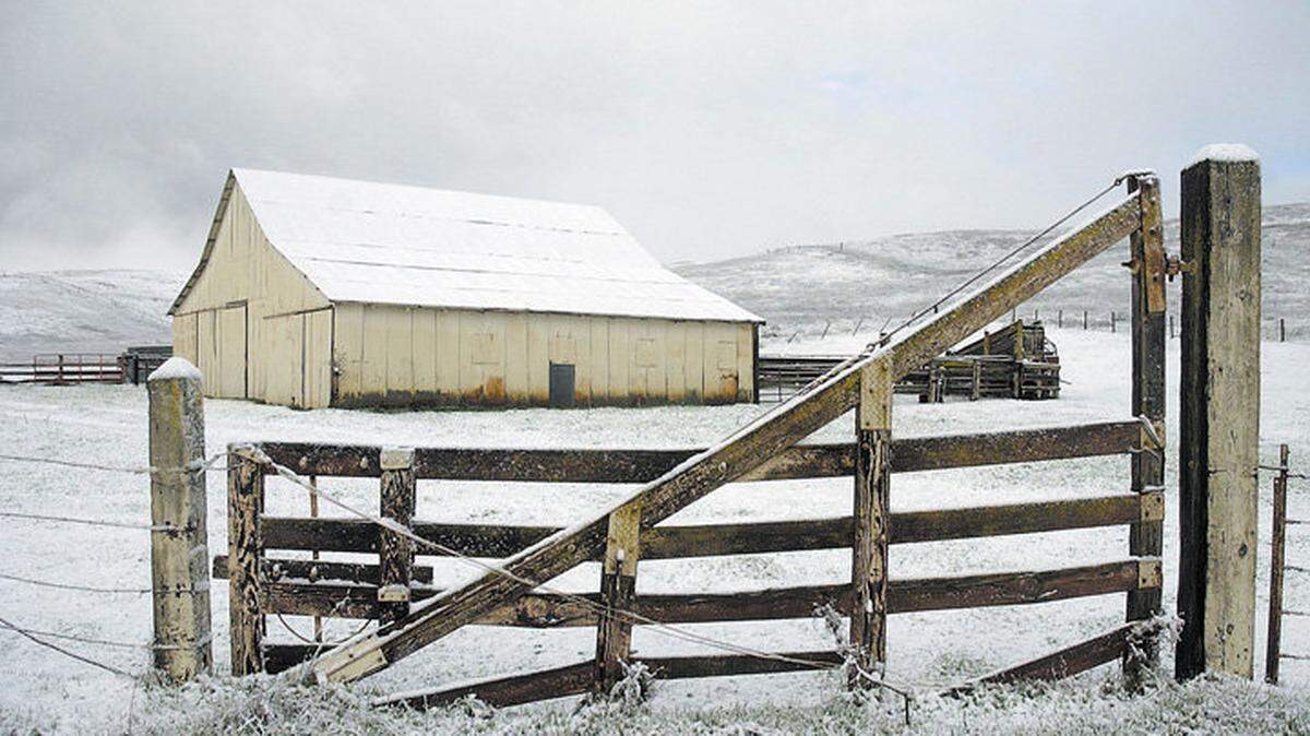 March 12, 2006: A wintry scene along Highway 41 just south of Shandon.