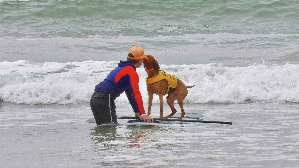 The World Dog Surfing Championships Exhibition Tour took over Pismo Beach on May 2, 2026. Jager stops to give a give during the stand-up paddleboarding portion of the competition.