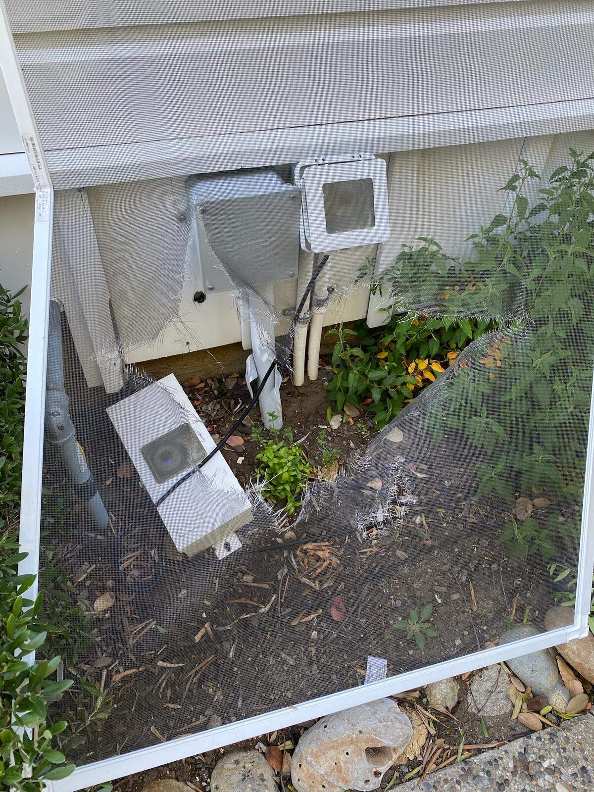 A young black bear broke into an Airbnb and tore up the furniture on May 22, 2026. The bear appeared to punch the screen out of an open window.