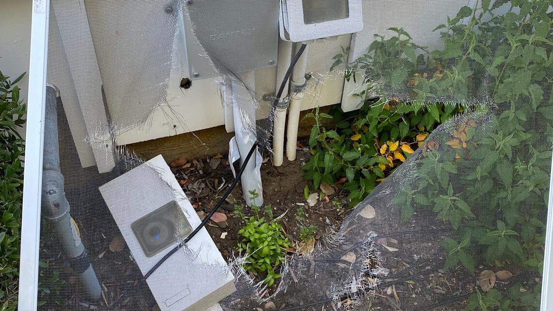 107 guns seized in search and a bear’s Airbnb break-in. Today’s top stories