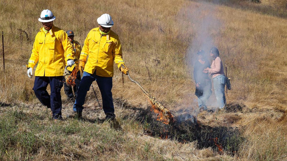Tyler Mata, left, and father Pat Mata use traditional torches to light the first sections of a yak titʸu titʸu yak tiłhini Northern Chumash Tribe-led cultural burn at the Johnson Ranch Open Space on June 18, 2024.