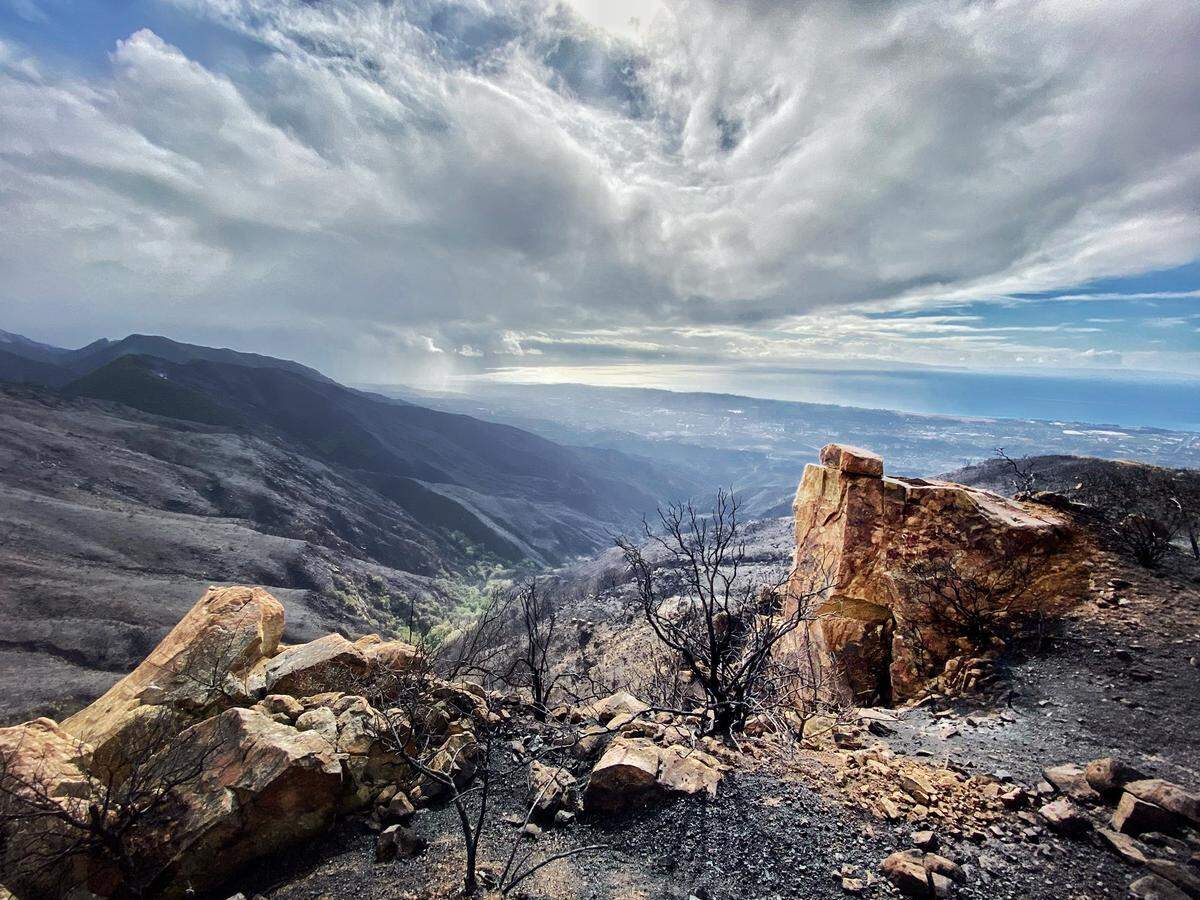 The charred landscape atop East Camino Cielo Wednesday morning where smoldering spots still are present throughout the rain-soaked burn area.