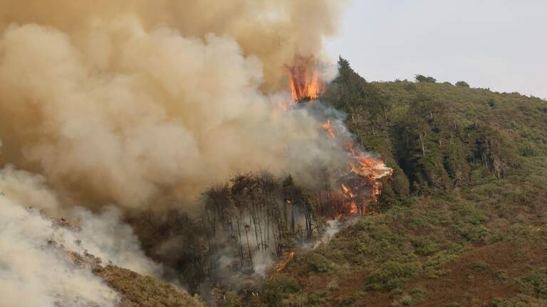 Plaskett Fire passes 8,000 acres as crews battle blazes along California’s Big Sur coast