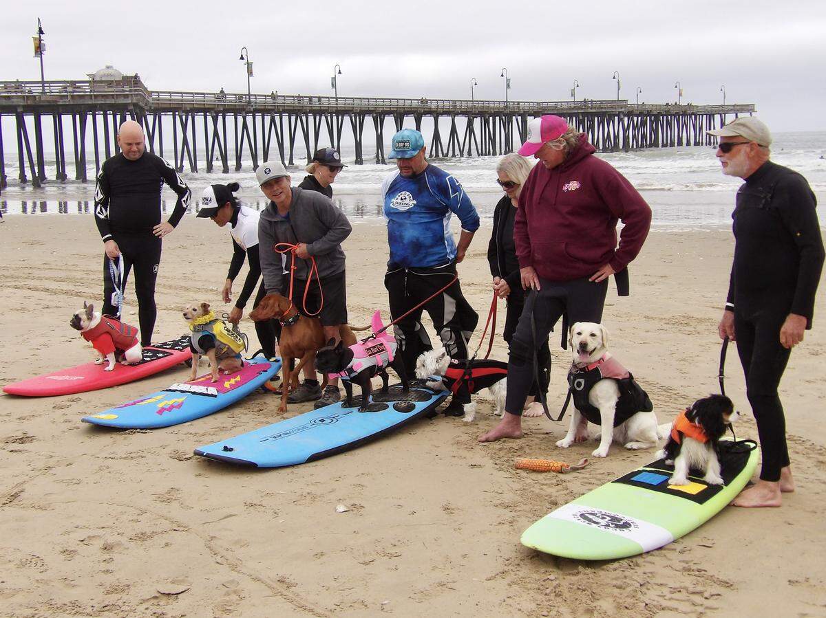 The World Dog Surfing Championships Exhibition Tour took over Pismo Beach on May 2, 2026, bringing together local and professional dog surfing teams to compete.