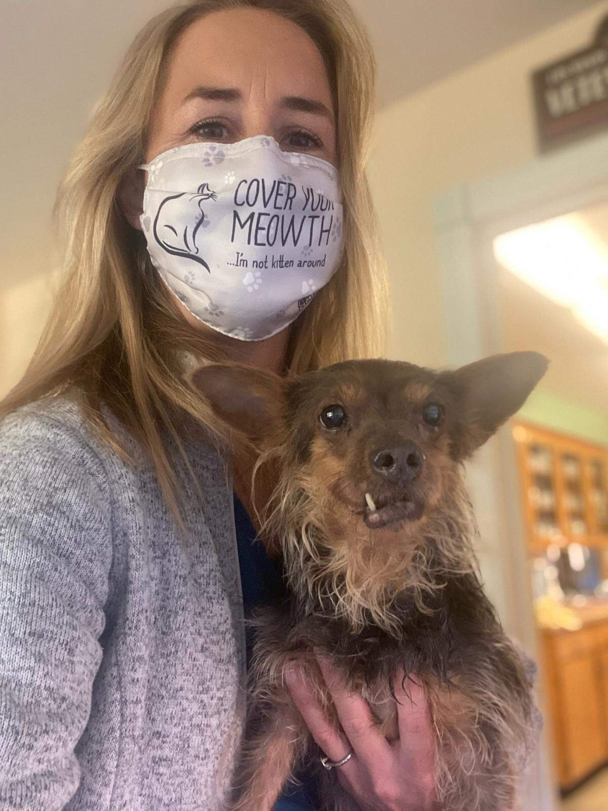 Cambria veterinarian Dr. Casey Erickson holds Gigi, a 13-year-old yorkie/dachshund mix who was found alongside her deceased 99-year-old owner in San Luis Obispo. After receiving treatment for a variety of ailments, the dog will be ready for a new home.