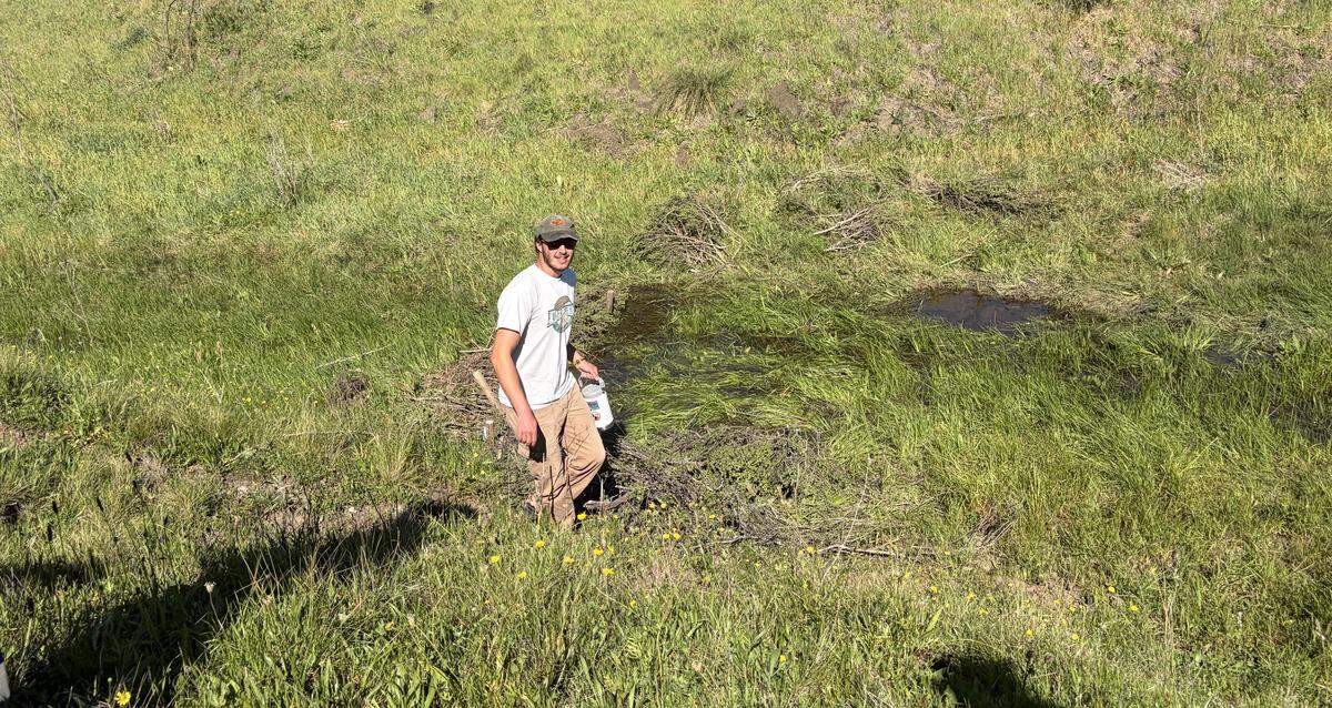 Cooper Lienhart shows volunteers how water pools behind beaver dam analogs.