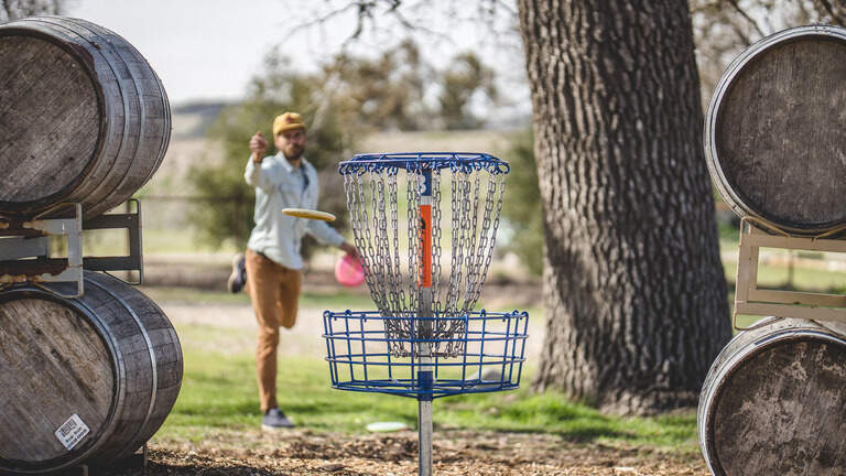 World’s best winery disc golf course is in SLO County. See the popular spot