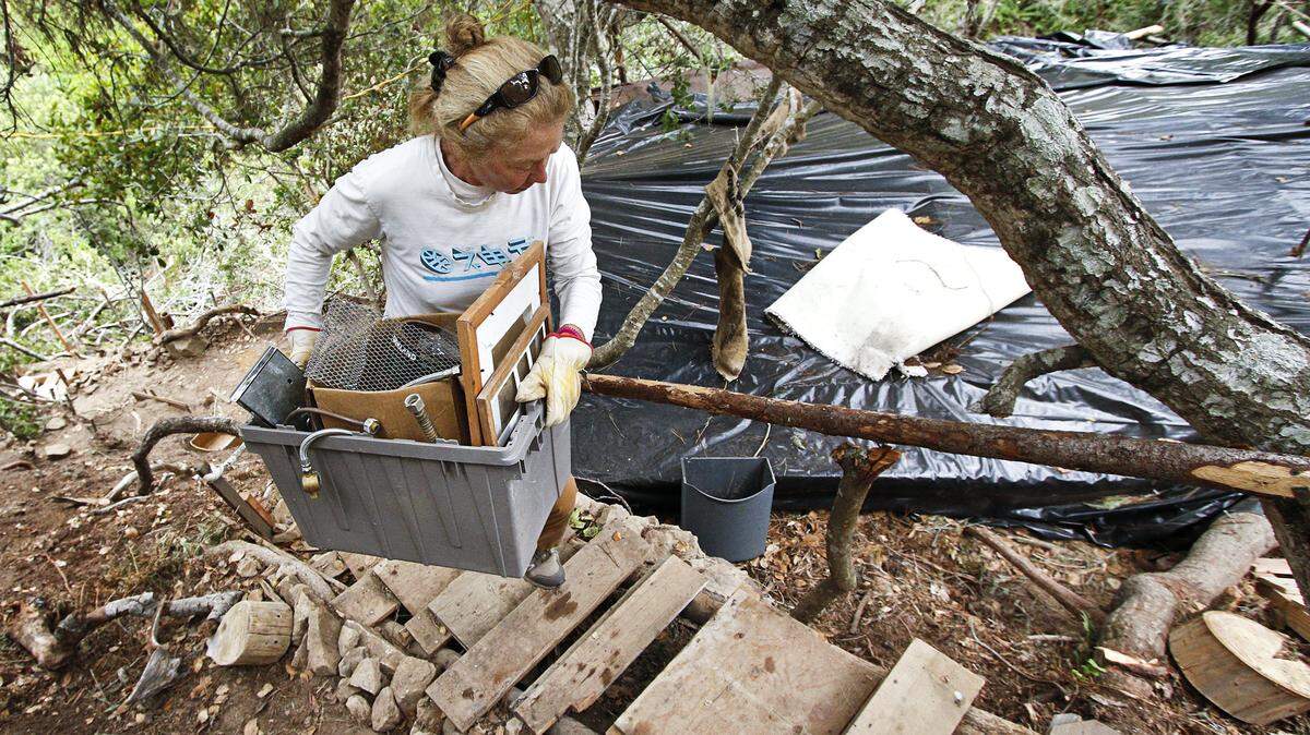 Katie Kirkpatrick helps clear out a recently discovered homeless encampment in her Cambria neighborhood at the north end of Trenton Avenue.