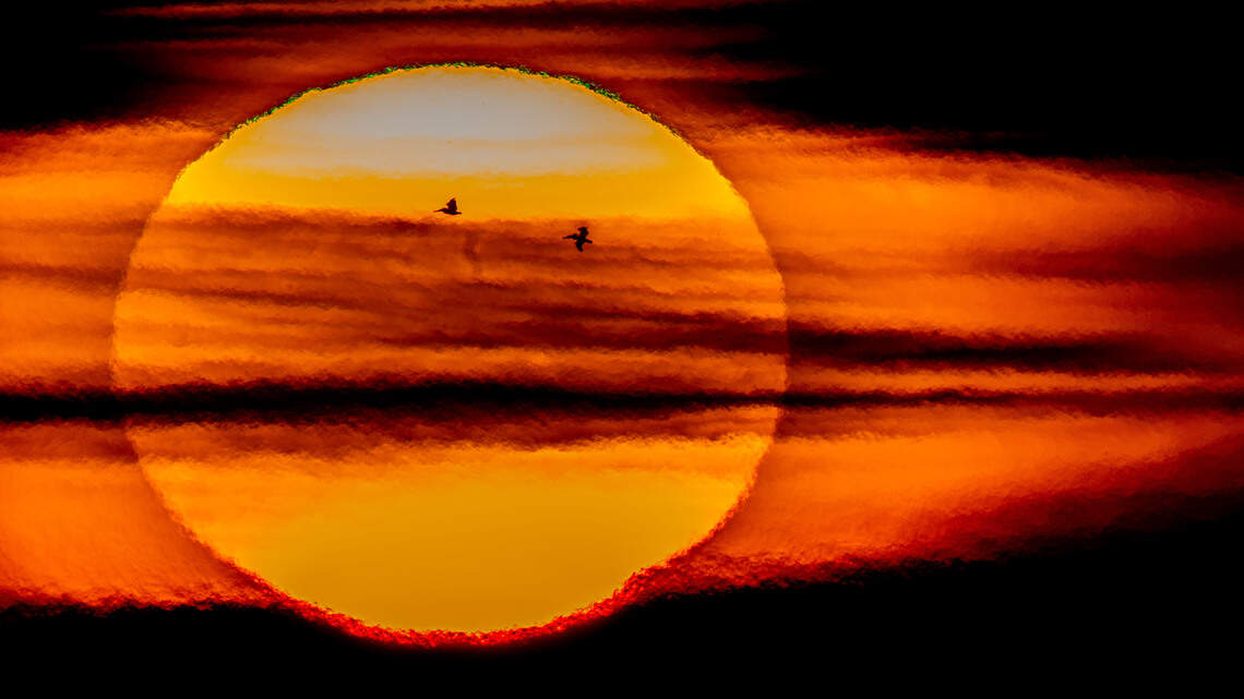 Heat wave to bring triple-digit weather to SLO County this week