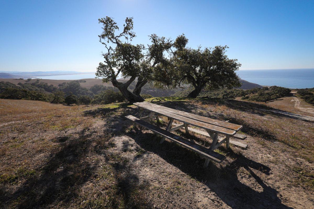 A lichen-covered picnic table at Wild Cherry Canyon overlooks San Luis Obispo Bay, to the left. The 2,400-acre property is located in the hills above Avila Beach and Port San Luis.