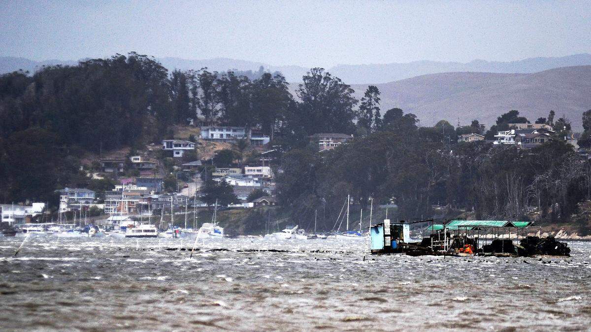 Gale-force winds and building seas grow near the Morro Bay Oyster Company.