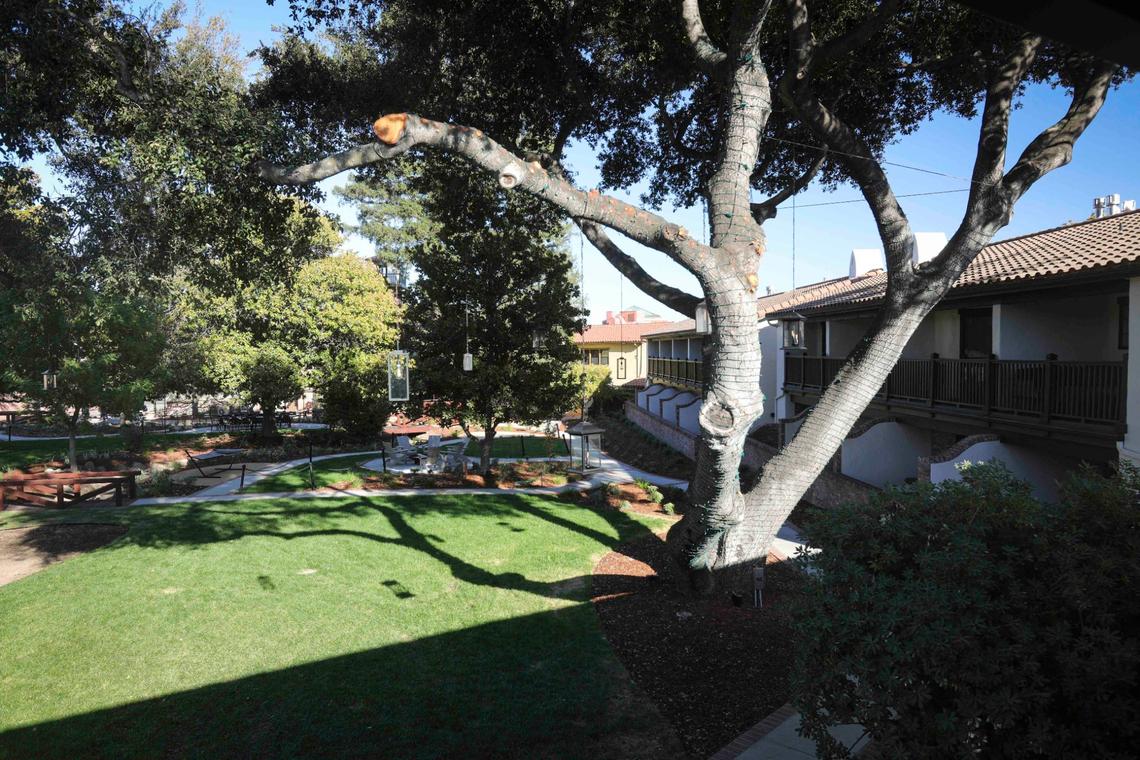 Majestic oaks provide shade for the garden area. Tour of the newly renovated Paso Robles Inn on Oct. 9, 2024.