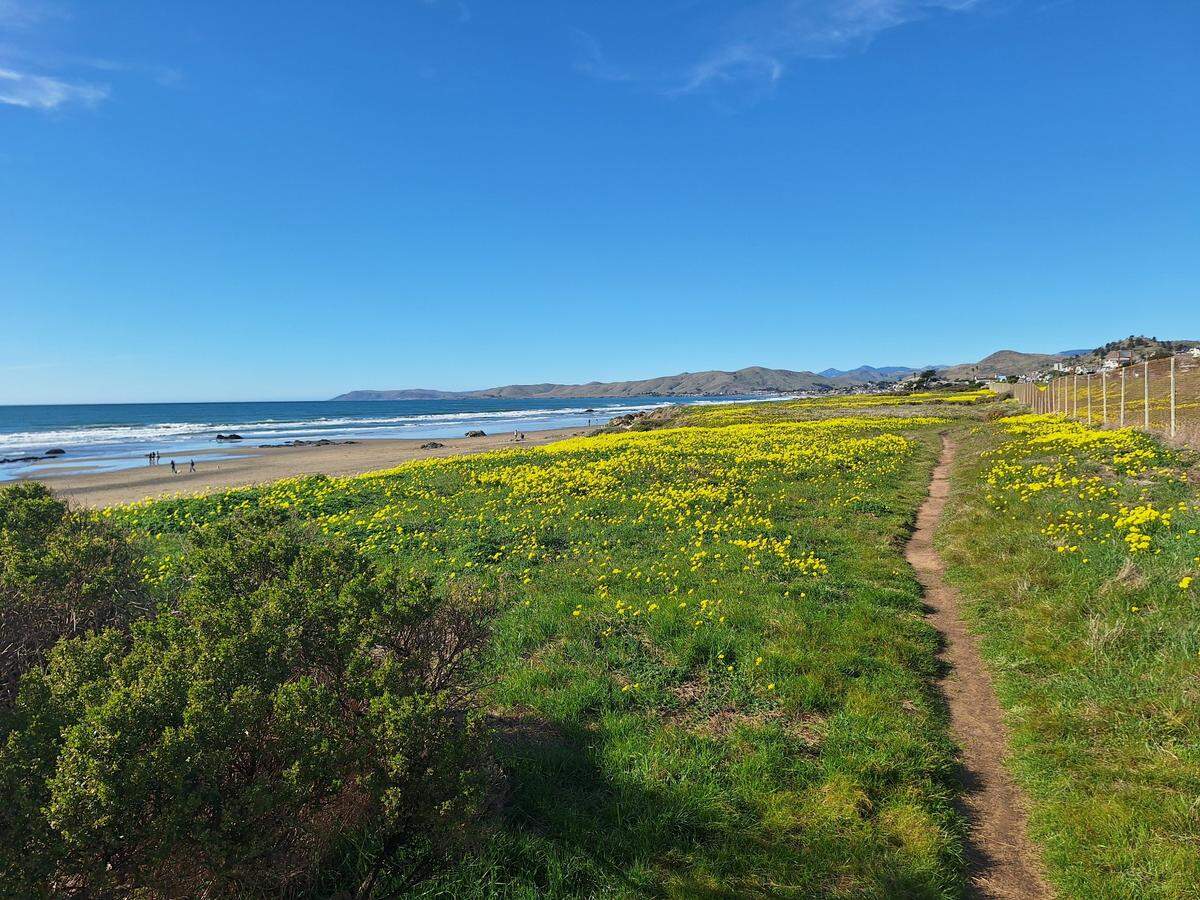 A multi-use trail connecting Cayucos and Morro Bay will offer scenic views of the coast along Highway 1, replacing dirt paths with a safe biking and walking route away from the highway. The $12 million project needs to secure another $2 million state grant before construction can start in 2027.