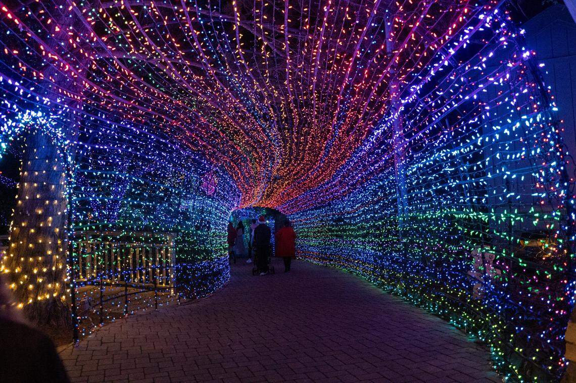 A tunnel of Christmas lights marks the entrance to a Christmas light walk at the Cambria Christmas Market on Friday, Nov. 21, 2025. The annual Christmas market will open its doors on Nov. 29, 2025.