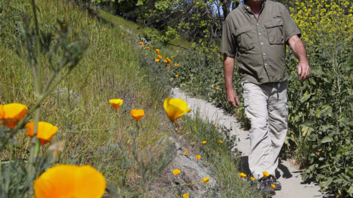 Author Robert Stone of Los Osos explores different sections of the Johnson Ranch Open Space near San Luis Obispo.