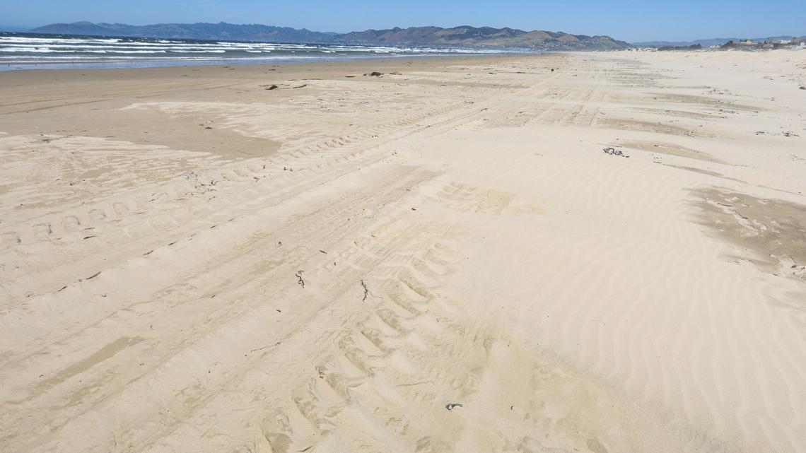 Oceano residents awoke to the sounds of State Parks bulldozers pushing huge piles of sand and grooming the beach. The work was done by noon, and the tracks were being erased by wind and tides.