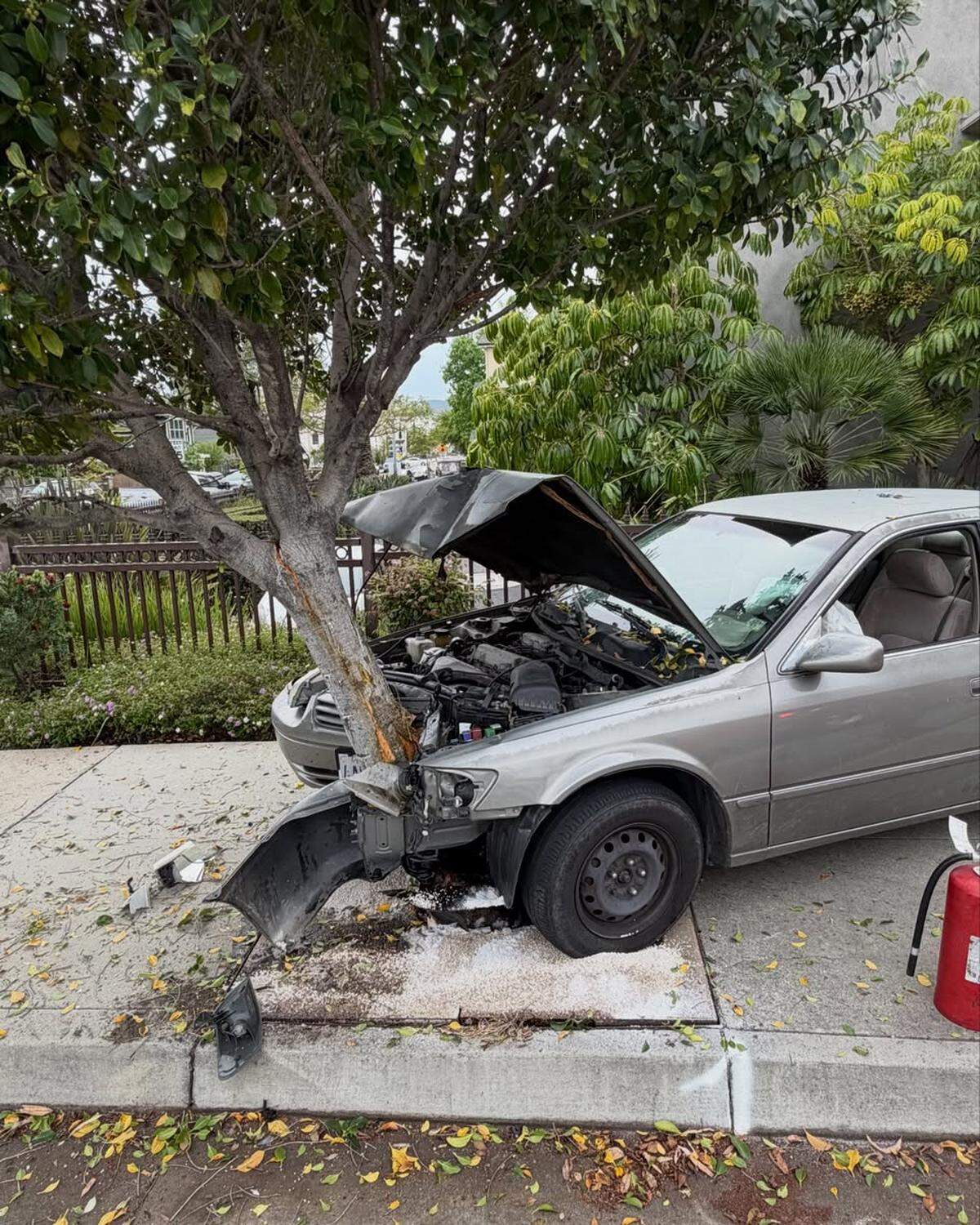 The gray Toyota crashed into the tree on Monday afternoon on March 30, 2026.