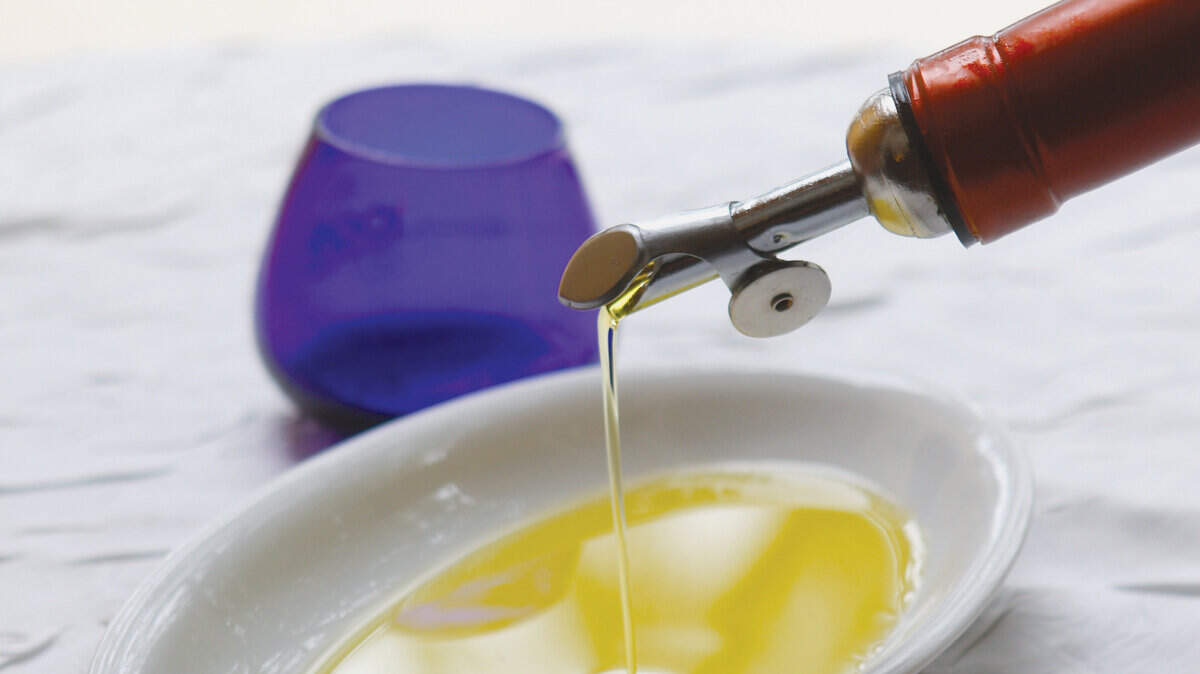 Extra-virgin olive oil made from arbequina olives is the flagship oil offered by Olea Farm in Templeton.