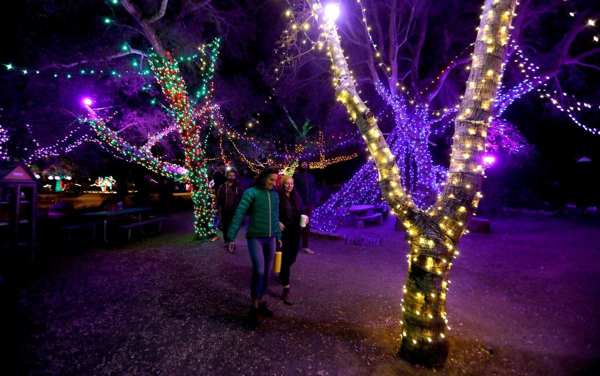 People can wander through a mini forest of lighted trees. The SLO Botanical Garden has a new event called Nature Night. People can walk through an immersive outdoor holiday light and art exhibit, enjoy hot food and beverages.