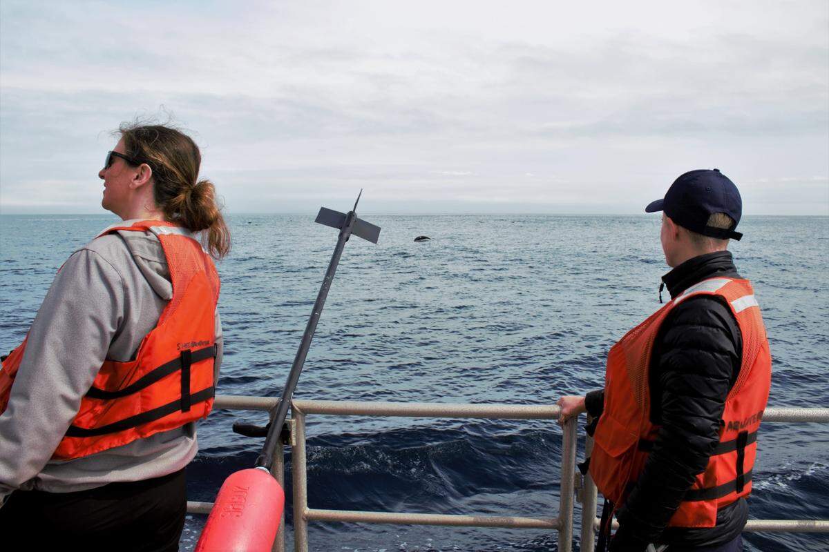 Kaitlin Palmer, left, and Anne Simonis, right, watch dolphins jump before they deployed a marine sound recorder in the Pacific Ocean on March 12.
