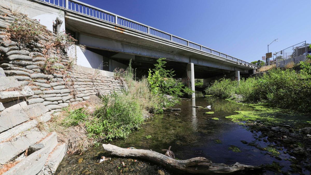 San Luis Obispo plans to add bypass channels to SLO Creek so it can hold more water during flood events. The project starts here at Marsh Street and goes south to Madonna Road, shown on Aug. 14, 2024.