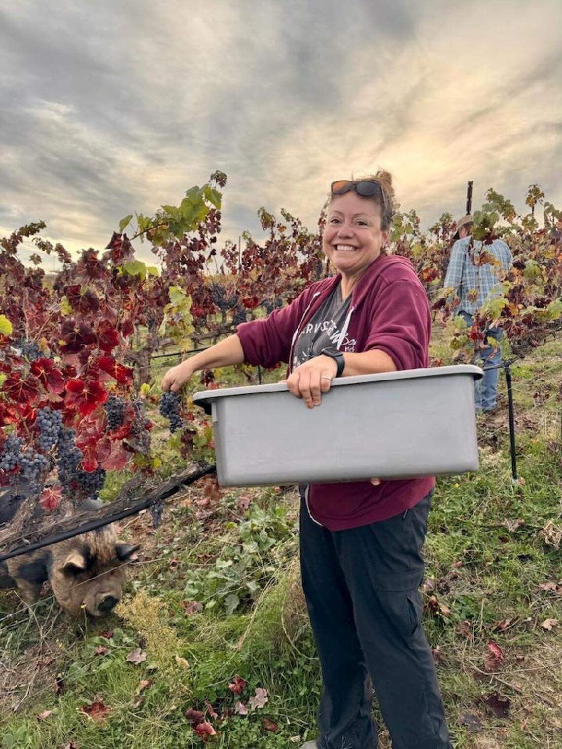Melani Harding, the owner and winemaker behind Bon Niche Cellars, picks grapes from her seven-acre vineyard in San Miguel.