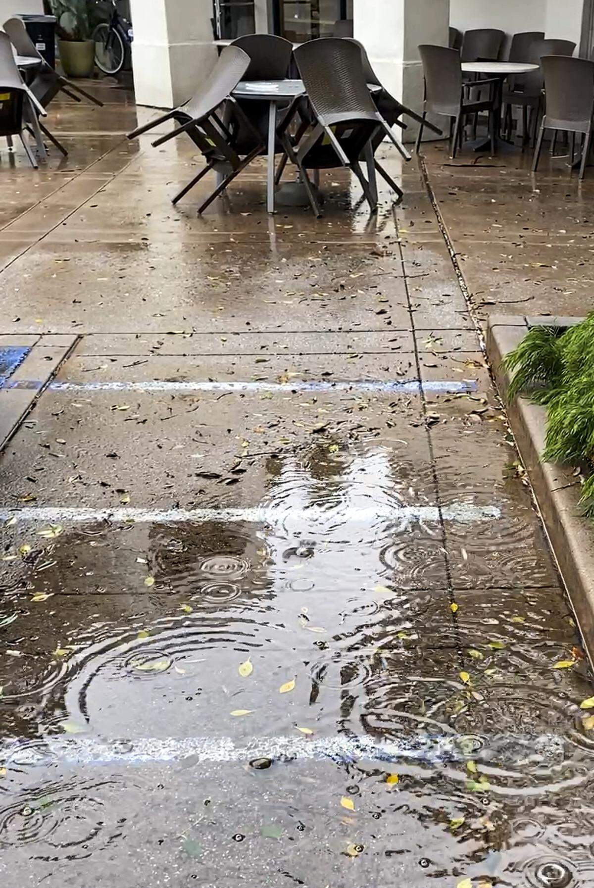 Rain in downtown San Luis Obispo makes concentric circles in a puddle at Blackhorse Espresso and Bakery on Higuera Street on the morning of Nov. 17, 2025.