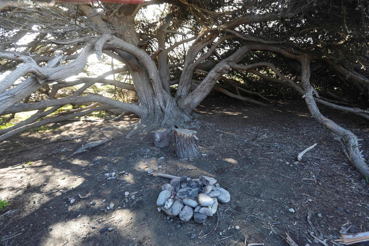An illegal campfire ring under the only cypress tree on San Carpoforo Creek Beach.