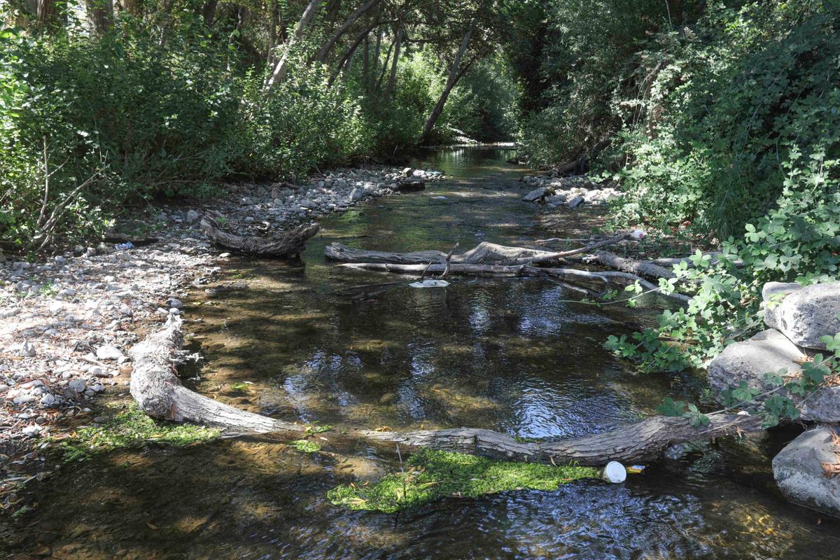 The city will add bypass channels and replace the Bianchi Bridge so San Luis Obispo Creek can hold more water during flood events.