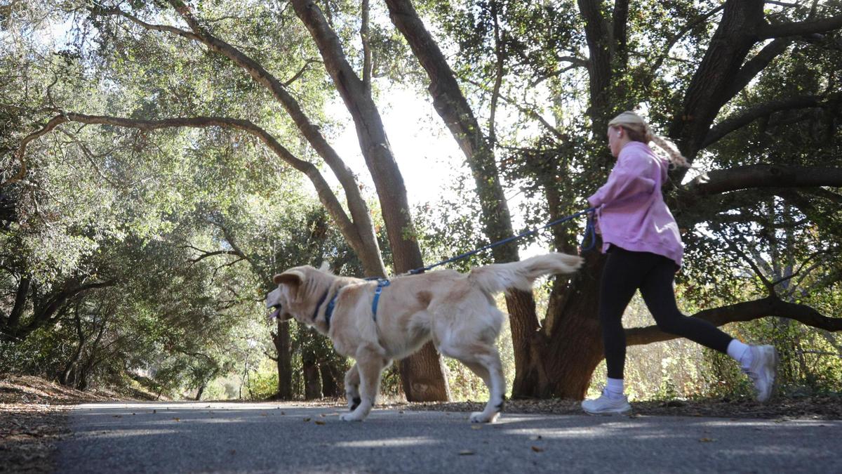 The Bob Jones Trail is proposed to run from San Luis Obispo to Avila Beach but has not yet been completed, seen here on Dec. 3, 2023.