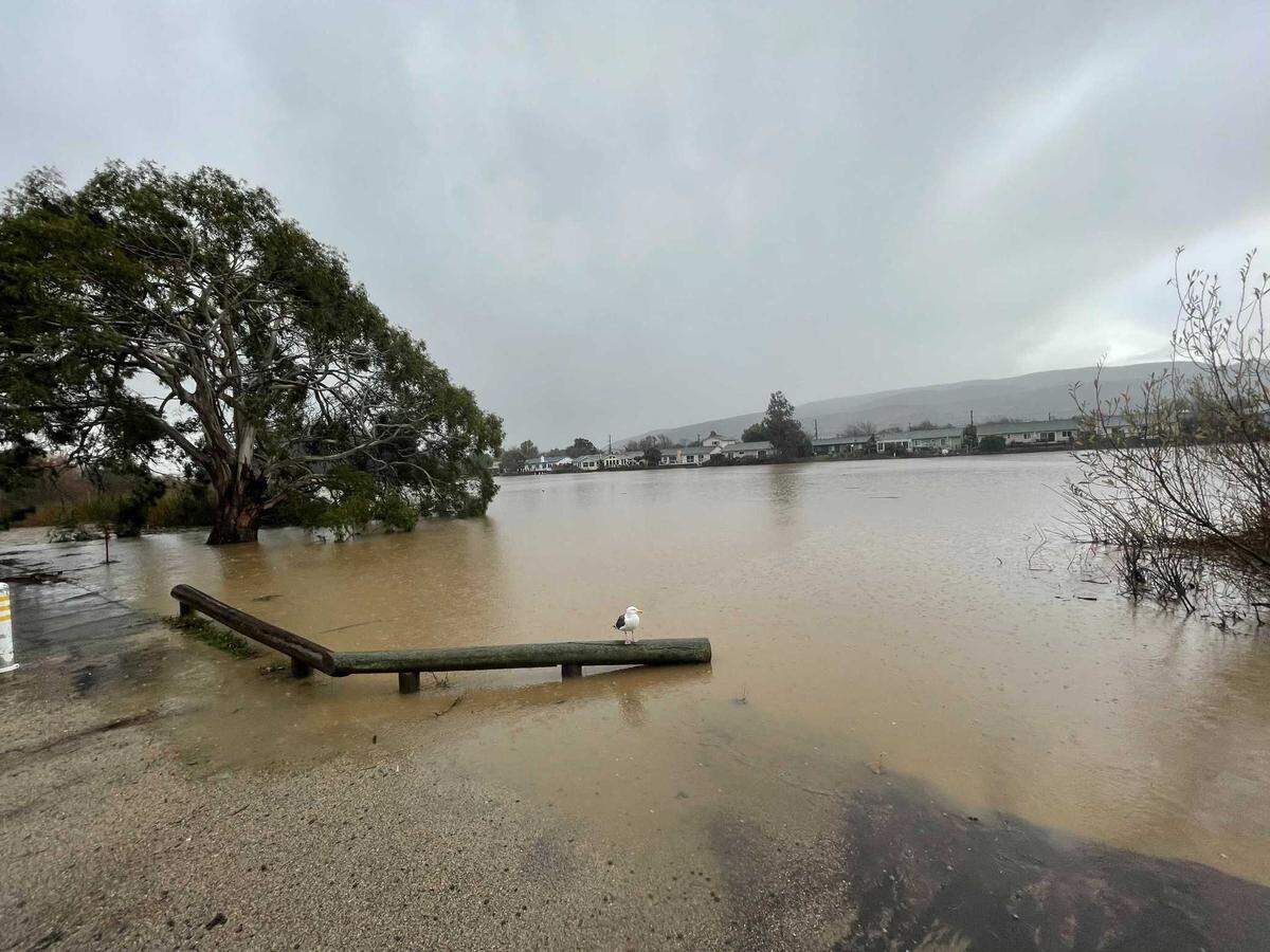 Laguna Lake overflows its banks in San Luis Obispo after two days of near-constant rain.