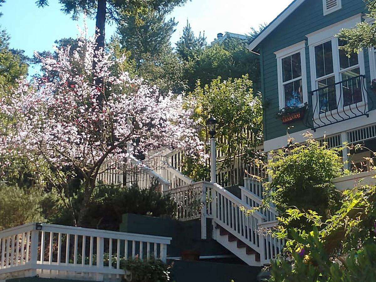 The sale of this hillside Cambria home has united in friendship two families with diversely different backgrounds but a shared yen for adventure.