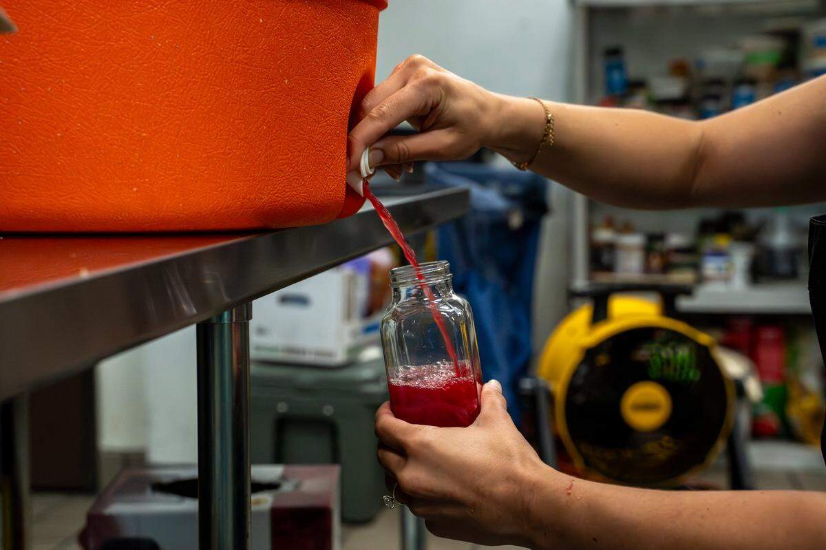 SLO Pressed owner Briana Medvecki bottles fresh-pressed apple juice in the kitchen at CaliPaso in San Luis Obispo on Thursday, May 14, 2026. Medvecki started pressing juice in 2025 as a way to treat acne and other skin irritations.