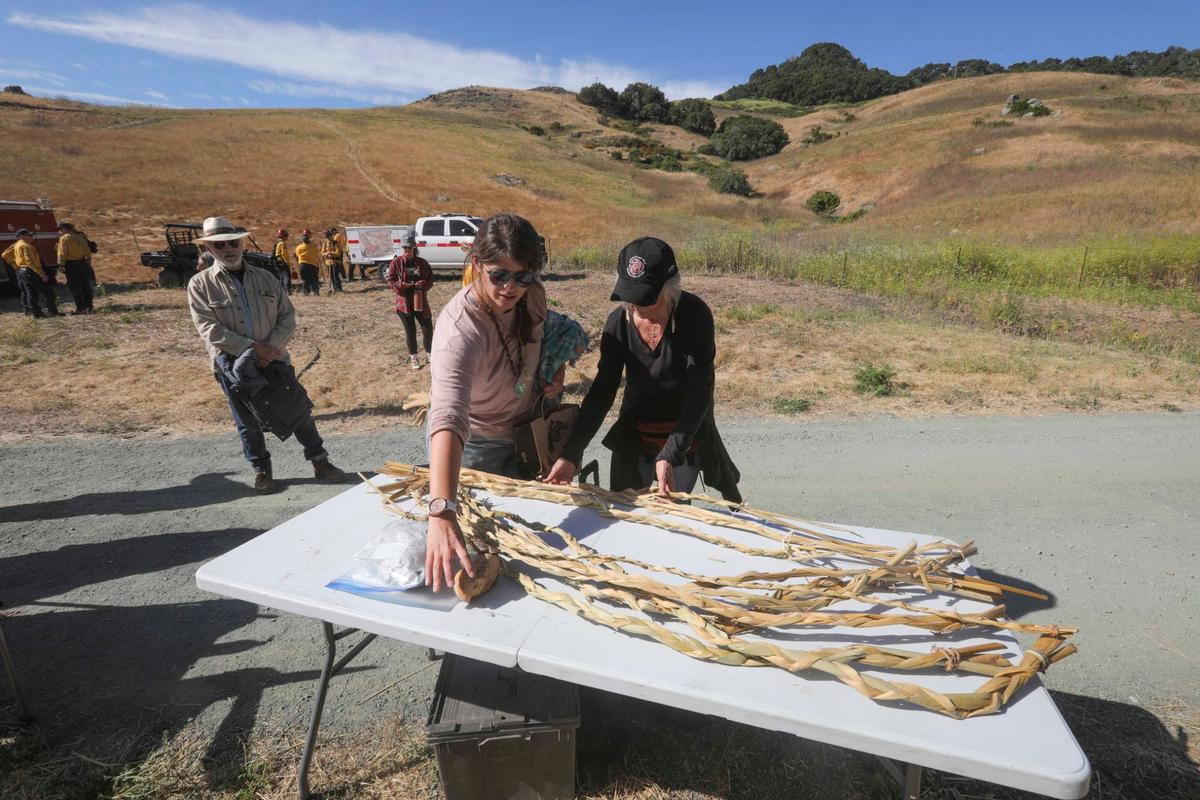 Becca Lucas, left, and mom Wendy examine ropes of braided tule leaves made to light the cultural burn on June 18, 2024.