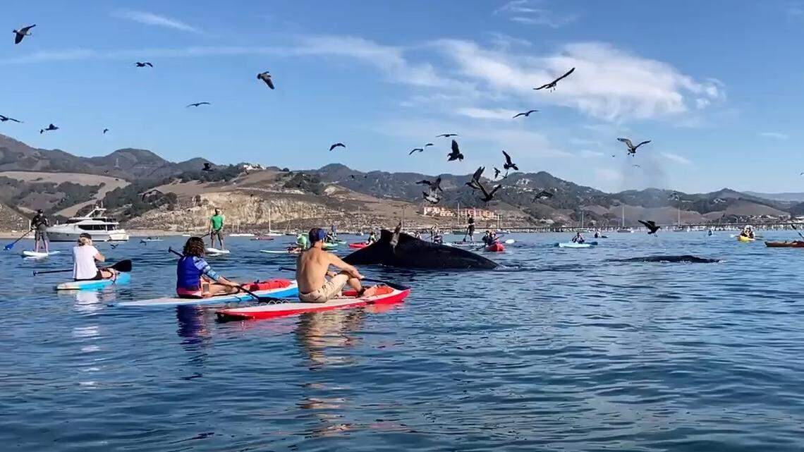 Planning a road trip? These 10 post-pandemic destinations are within 5 hours of Sacramento