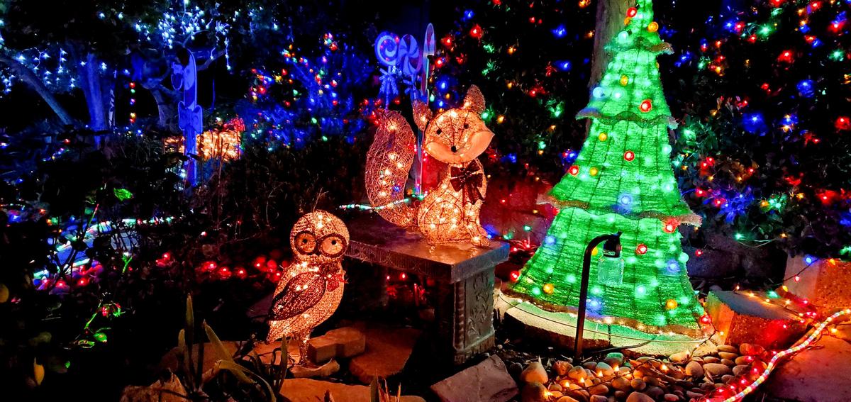 Holiday lights decorate a home at 423 Greenwood in Arroyo Grande.