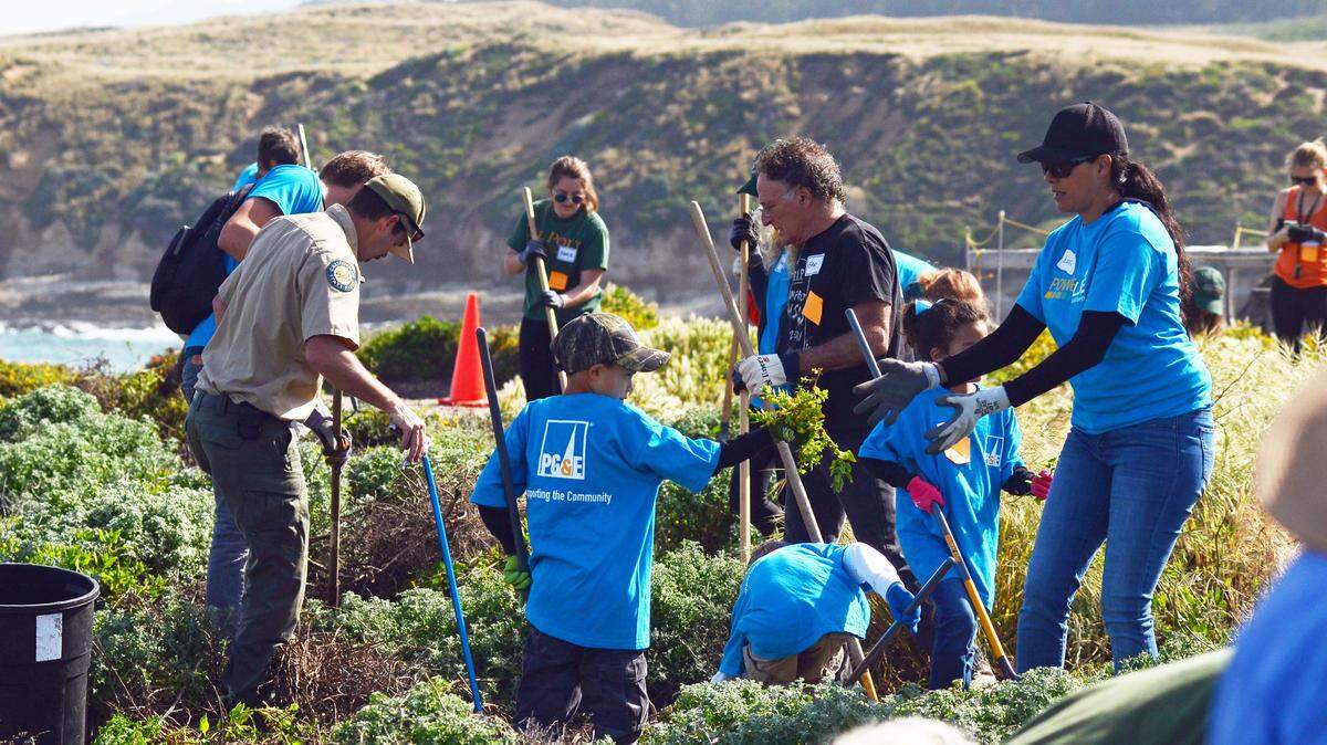 Volunteers remove non-native plants at Montaña de Oro State Park as part of 2017 Earth Day activities.