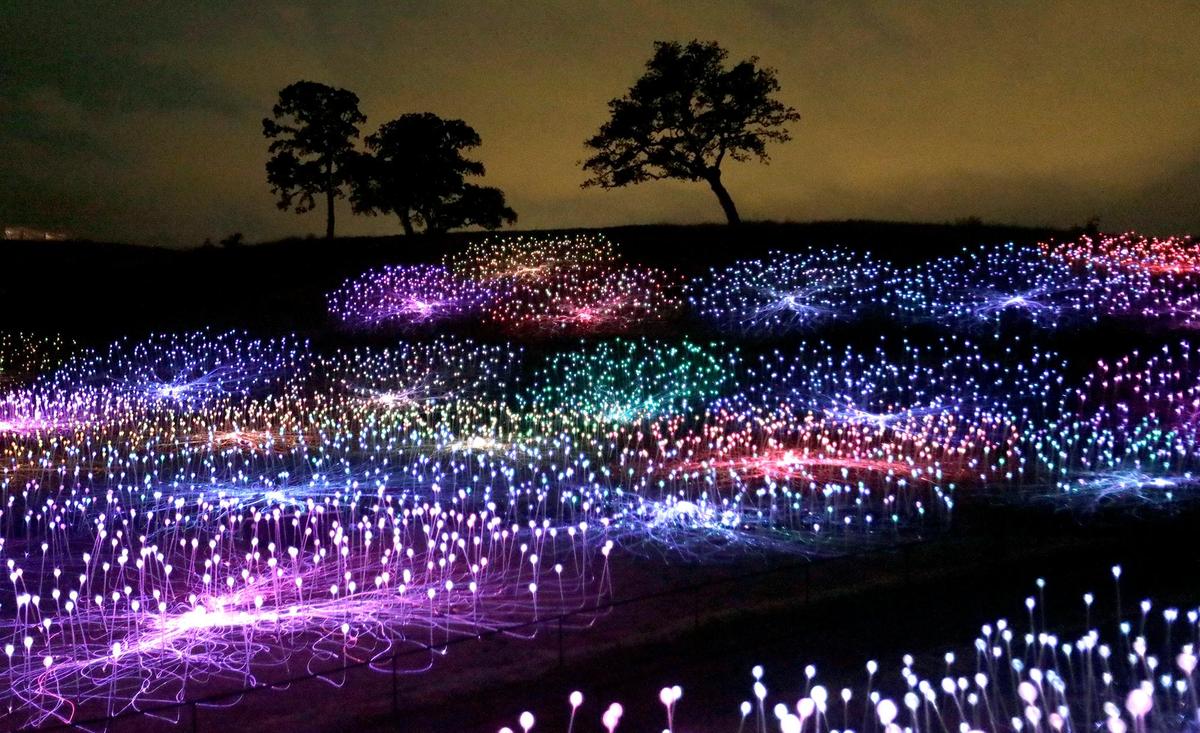 The Field of Light display at Sensorio in Paso Robles features nearly 60,000 solar-powered fiberoptic lights carpeted across a rolling oak landscape off Highway 46 East.