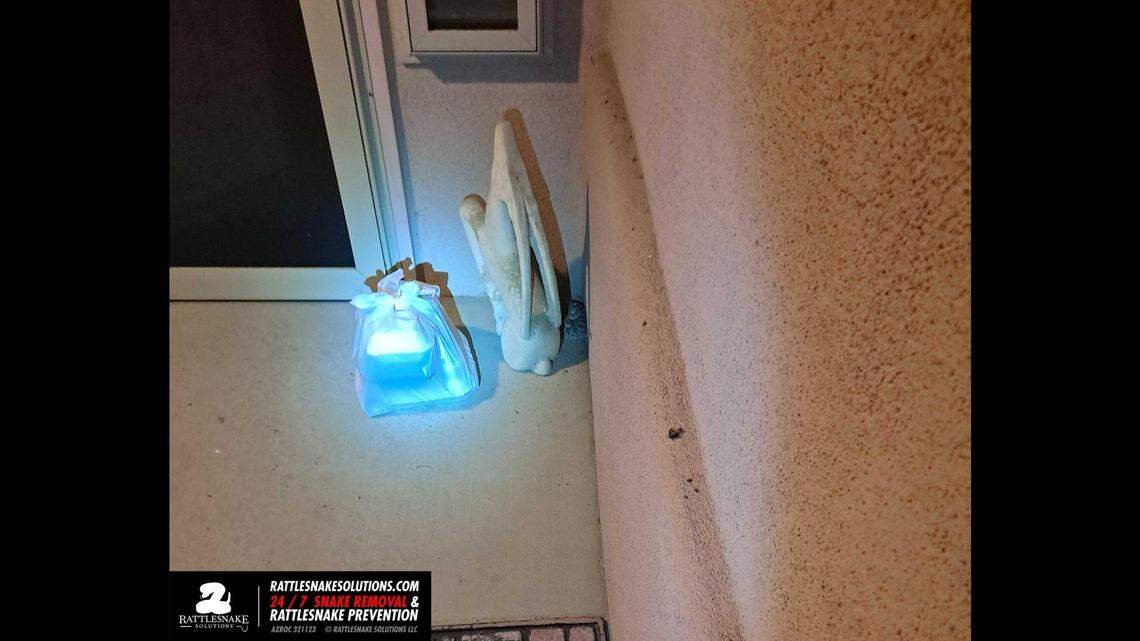 A Tuscon woman retrieving a takeout food order from her front porch found a little something extra with the delivery: A western diamondback rattlesnake.