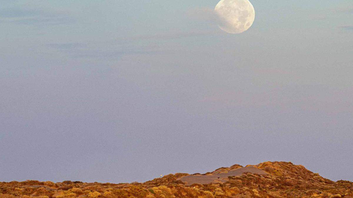 Paul Irving rowing across Morro Bay with the Beaver Moon overhead.