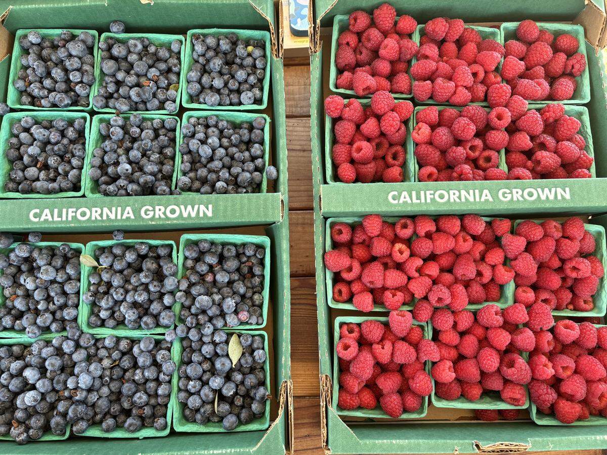 Blueberries and raspberries from a local tenant farmer are sold at City Farm SLO’s pay-what-you-can farm stand.