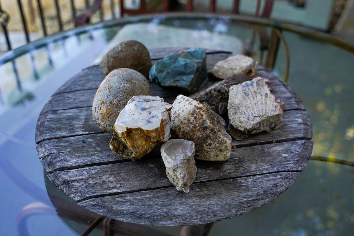 Laird Foshay often finds fossils at Adelaida Springs Ranch, with some displayed here on July 15, 2025.