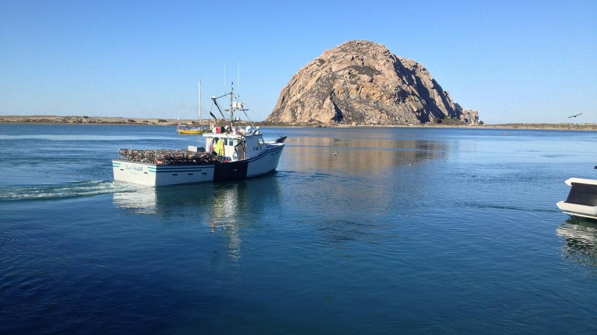 Bill Blue’s boat heads out to sea near Morro Rock.
