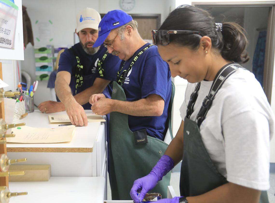 California Marine Mammal Center volunteers rescue a one-year-old dehydrated sea lion found in Avila Beach and bring it back to their Morro Bay facility. Assistant site manager Aliza Meza and two volunteers log information on the sea lion rescue.