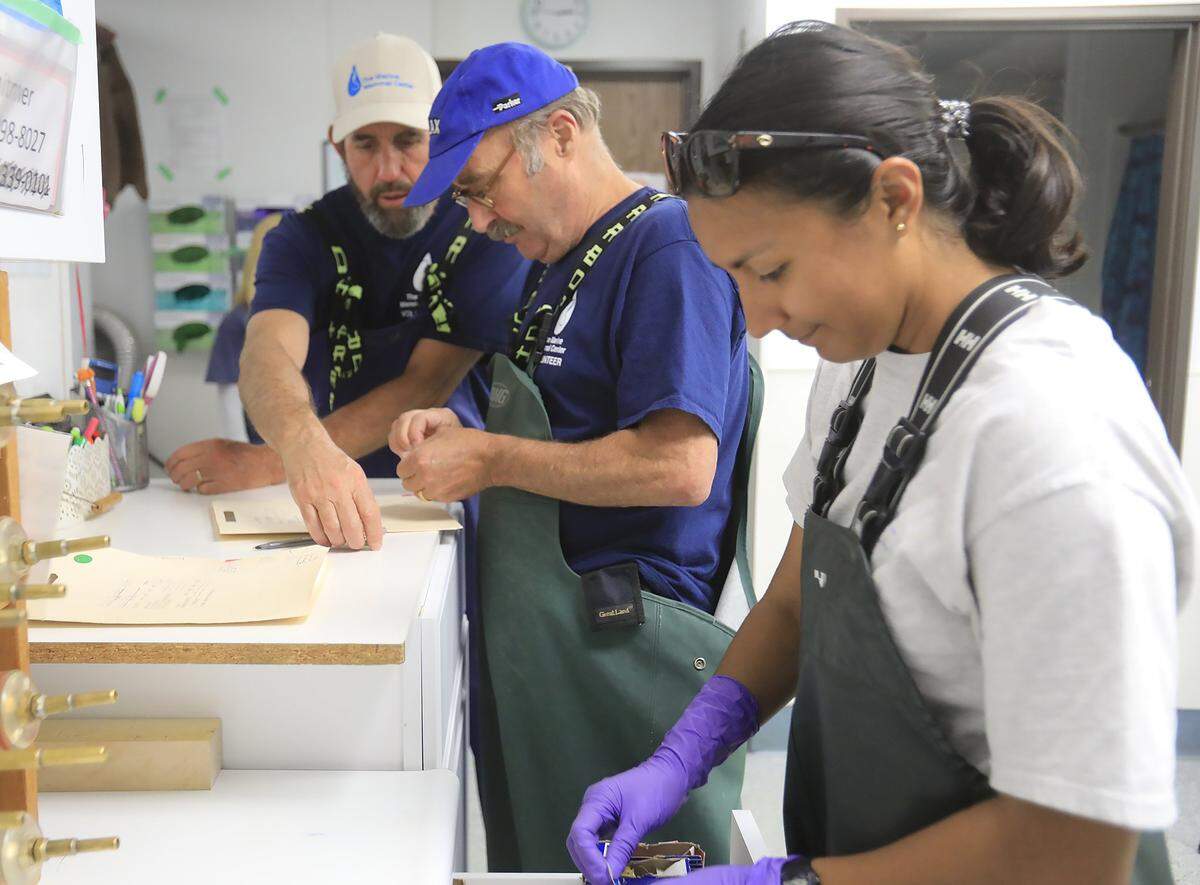 California Marine Mammal Center volunteers rescue a one-year-old dehydrated sea lion found in Avila Beach and bring it back to their Morro Bay facility. Assistant site manager Aliza Meza and two volunteers log information on the sea lion rescue.