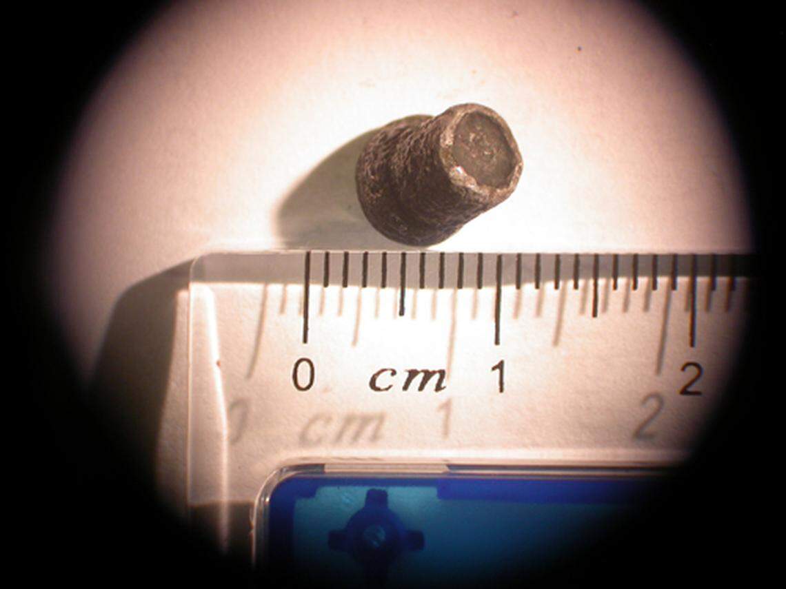 This lead bullet was ingested by condor #318, Benito, a reproductive male, after he consumed carrion. Benito died from lead poisoning on Nov. 30, 2012. 