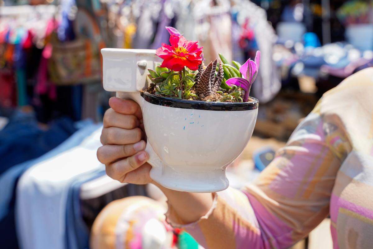 Tribune reporter Hannah Poukish holds a toilet-shaped mug packed with drought-resistant plants that she purchased at the Nipomo Swap Meet on Sunday, Aug. 10, 2025. The Swap Meet features more than 300 vendors, the largest market of its kind on the Central Coast.